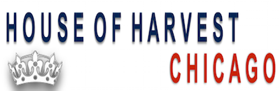 cherry blossom com dating